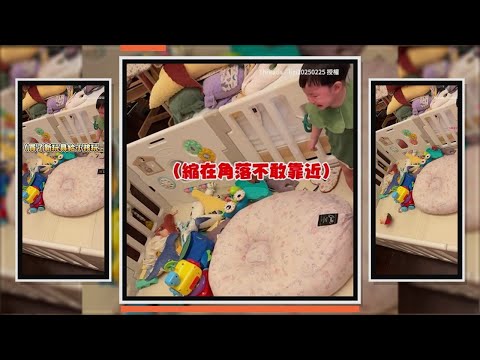 媽買新玩具給萌娃　娃嚇到縮角落狂哭XD thumbnail