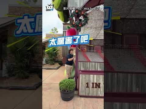 男到澳洲遊樂園玩投籃「一球就進」 當場帶走超大酪梨娃娃 #shorts thumbnail