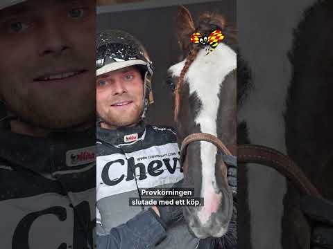 Hugos galna fynd på Facebook – vunnit 200 000 kronor thumbnail