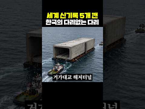 세계 신기록 5개 깬 한국의 다리없는 다리 thumbnail