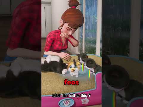El Gatito Nació Con los Colores Equivocados… Y Lo Echaron Bajo la Lluvia ? thumbnail