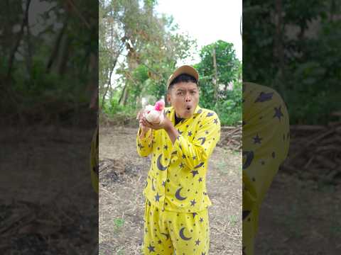 Itu kan ayam kang #adekkakakinul thumbnail