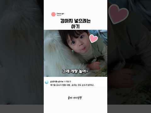 강아지 가방에 넣어서 데려가려는 이진이 thumbnail