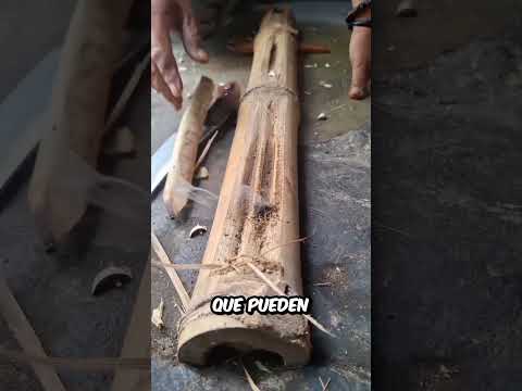 Una FORMA muy INGENIOSA de CONSEGUIR FUEGO que se les OCURRIÓ a nuestros ANTEPASADOS thumbnail