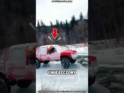 Ucieczka przed niebezpiecznym zwierzęciem!#shorts#viralvideo thumbnail
