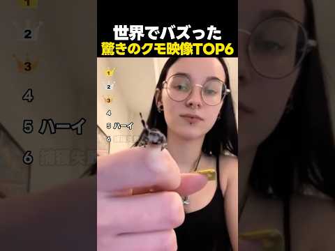 世界でバズった驚きのクモ映像TOP6 thumbnail