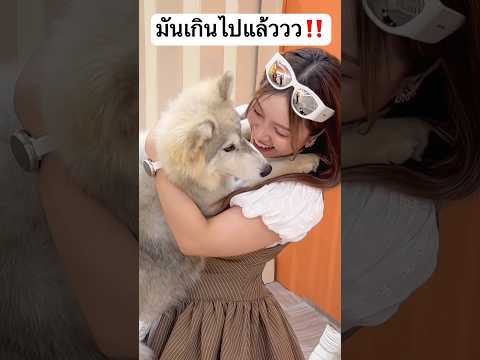 มันเกินไปแล้ว! ใครจะทนไหว #jamsai #jamsaijs #แจ่มใส thumbnail