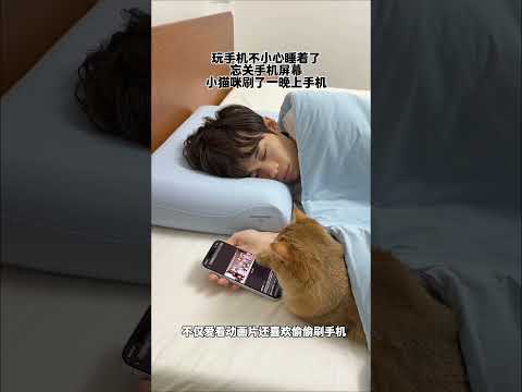 【牛奶是只猫】竟然看了一晚上，再看下去得配个眼镜了 thumbnail
