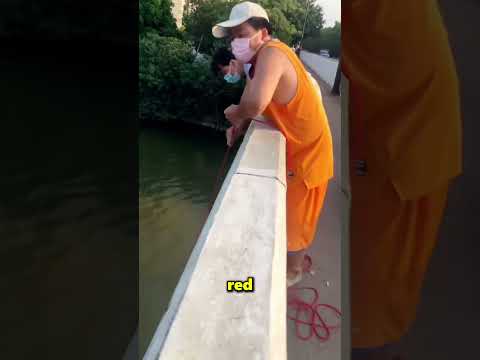Este Chico Atrapó Muchísimos Peces En Su Red 😲 thumbnail