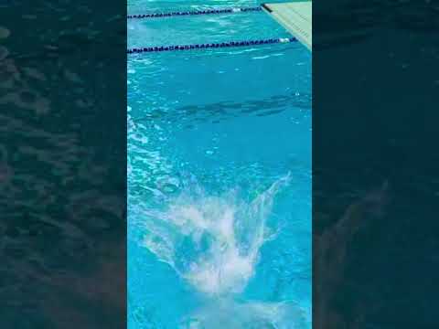 Diving thumbnail