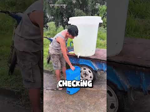 Cuma Karena Semangka, semua jadi kacau thumbnail