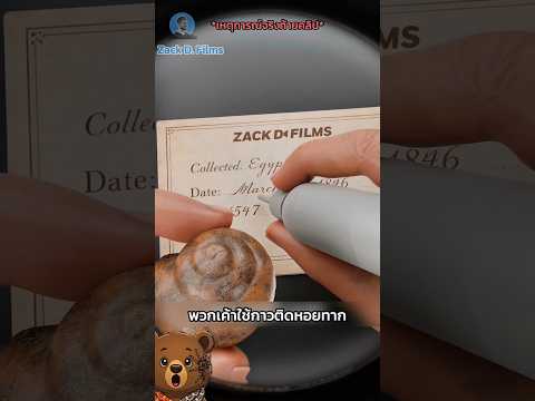 หอยทากอมตะ🐌#story #zackdfilm thumbnail