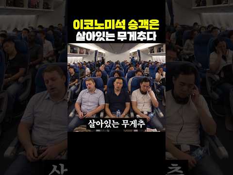이코노미석 승객은 살아있는 무게추다 thumbnail