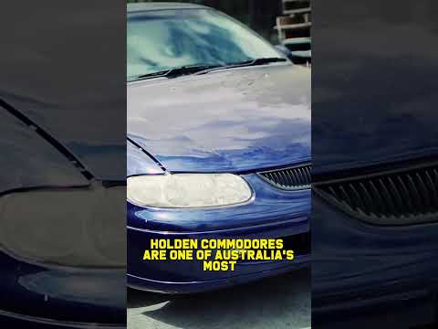 SS Commodore CHEAP! thumbnail