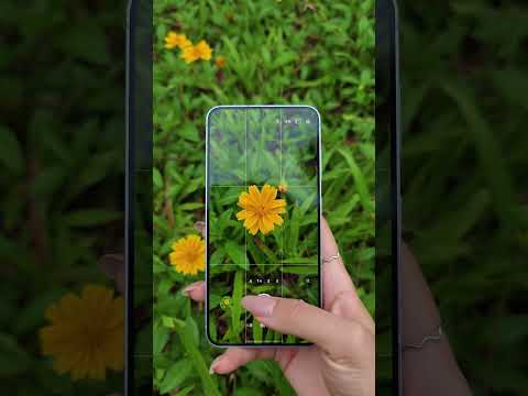 Digital Technology, Samsung, Samsung Mobile Phones, High-Performance Compact Phone, Samsung S25 thumbnail