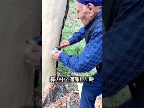 食べられる木の皮 thumbnail