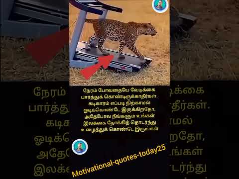 நம்பிக்கையை இழக்காதீர்கள், காலம் மாறும் ? #Shorts #Motivation thumbnail