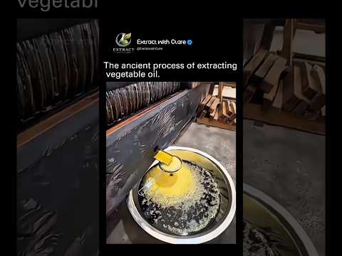 How Ancient Villagers Extracted Vegetable Oil Without Machines! 🛢️🌱 thumbnail