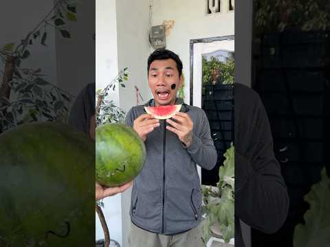 tukaran sama semangka abang thumbnail