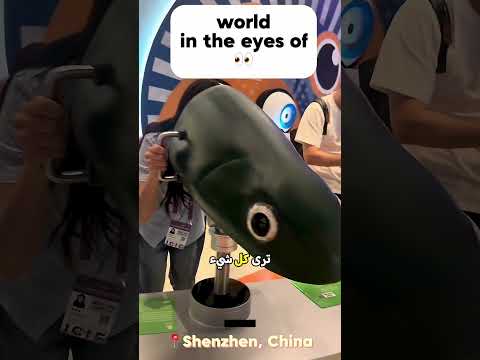 لن تصدق كيف ترى هذه الحيوانات العالم! 🤯🔥 thumbnail