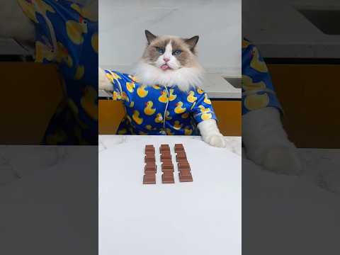 How to make the Infinite Chocolate Loop properly.#thatlilttlepuff #funny thumbnail