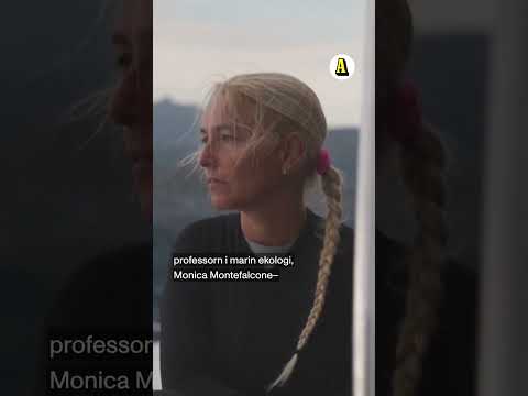 Finska expertdykare i jätteinsats thumbnail