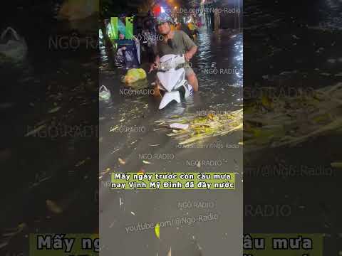 Mấy ngày trước còn cầu mưa nay Vịnh Mỹ Đình đã đầy nước thumbnail