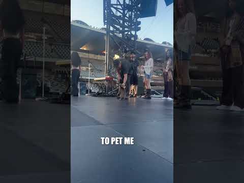 🐈 A day in the life of a stadium cat… #ColdplayAbuDhabi thumbnail