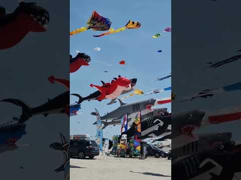 Kites Fun #shorts #2winners thumbnail