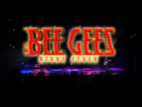 The Bee Gees Night Fever | February 2026 thumbnail