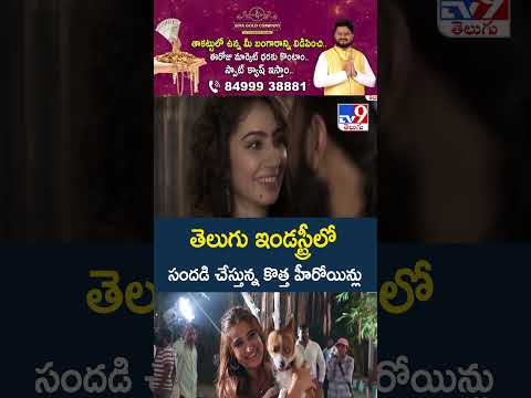 తెలుగు ఇండస్ట్రీలో సందడి చేస్తున్న కొత్త హీరోయిన్లు | Sara Arjun | Rasha Thadani | Rukmini Vasanth thumbnail