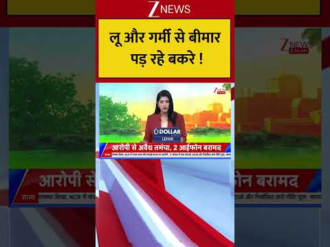Heat Wave : लू और गर्मी से बीमार पड़ रहे बकरे ! Breaking| Shorts| ZEE thumbnail