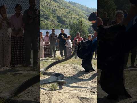 दुनिया का सबसे जहरीला सांप किंग कोबरा ने कैसे किया अटैक फिर कैसे रेस्क्यू किया गया!? thumbnail