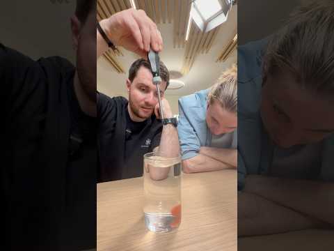 Attrape la tomate sans faire déborder l'eau thumbnail