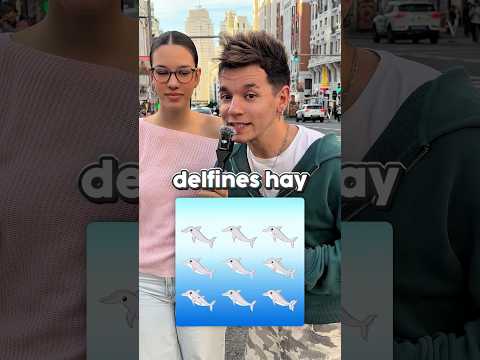 Cuantos DELFINES hay?? thumbnail