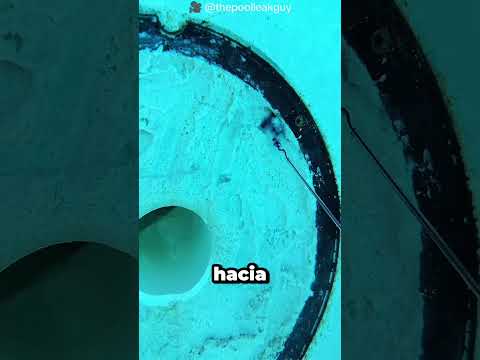 El Agujero Secreto Estaba Vaciando Toda Su Piscina 🤯💦 thumbnail