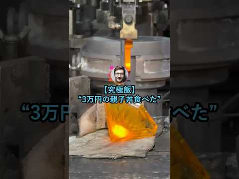 【究極飯】3万円の親子丼を頼んだ結果【2ch面白いスレ】 thumbnail