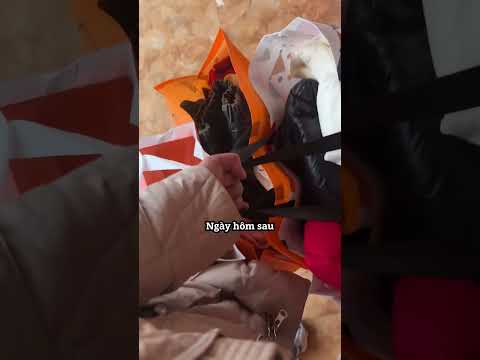 Cô bé một lần nữa cảm nhận được hơi ấm tình mẹ ❤️‍🩹 thumbnail