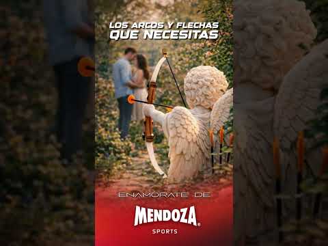 Arcos Mendoza. Los favoritos de Cupido thumbnail