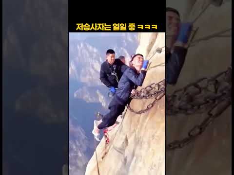 저승사자는 열일 중 ㅋㅋㅋ thumbnail