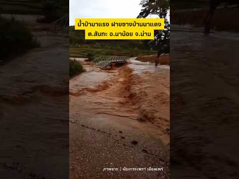 น้ำป่ามาแรง ณ ฝายซางบ้านนาแดง ต.สันทะ อ.นาน้อย จ.น่าน 18/5/69 #น่าน #น้ำป่าไหลหลาก #น้ำป่า #น้ำท่วม thumbnail