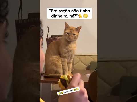 Meu amigo né não tem dinheiro pra comprar minha ração mas tem pra comer MC Donald's. thumbnail