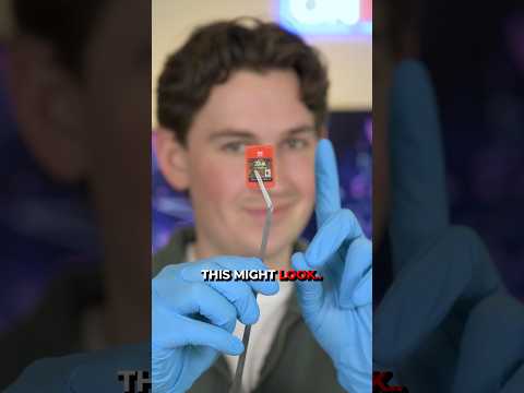 The Flavor Humans Were Never Meant to Taste thumbnail