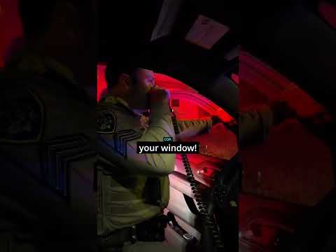 Cops Use Spike Strips To Stop Stolen Car! 🚨⛓️ thumbnail