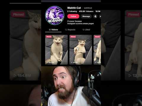 The Average Person Loves AI thumbnail