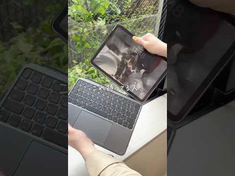 「仕事できそう」に見えるiPadアイテム3つ集めた #shorts thumbnail