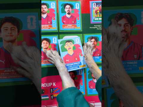 La estampita del mundial ⚽ thumbnail