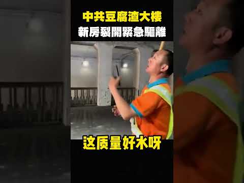 廣西小粉紅崩潰：中國建築太爛了，全是豆腐渣工程，牆壁竟然是用插上去的 #shorts thumbnail