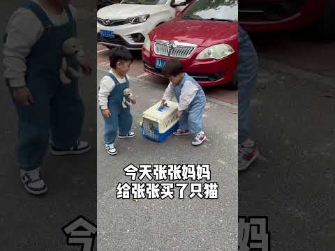 张张：我很喜欢小麦，我养的猫都跟小麦一样秃… #搞笑 #萌娃 thumbnail