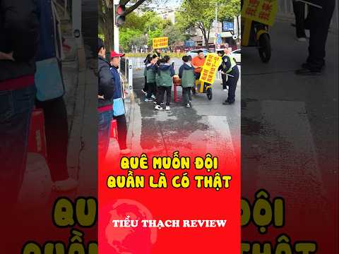 Quê muốn đội quần là có thật #shorts thumbnail